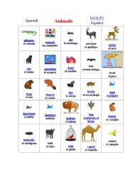 English worksheet: Animals of all types