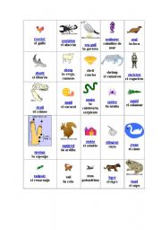 English worksheet: all types of animals part 2