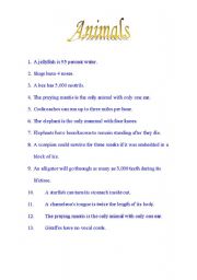 English Worksheet: Interesting Facts about Animals Part I (2 pages) 