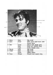 English Worksheet: physical descriptions