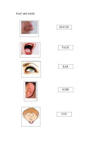 English worksheet: Mouth, ear, eye, nose
