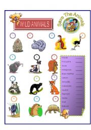 Wild Animals - Match Part -2