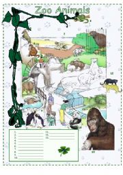 English Worksheet: Zoo animals