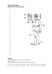 English Worksheet: Parts of the Body
