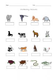 English Worksheet: Vocabulary animals