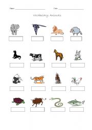 English worksheet: Vocabulary animals