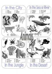 English Worksheet: Animals Picture Dictionary Part 1 - Greyscale