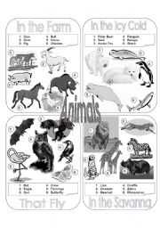 Animals Picture Dictionary Part 2 - Greyscale