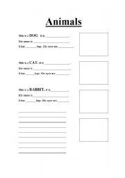 English worksheet: Animals