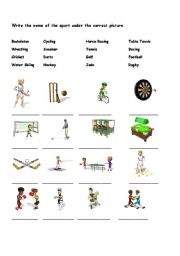 Sports Vocabulary