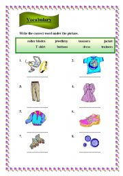 English Worksheet: Vocabulary