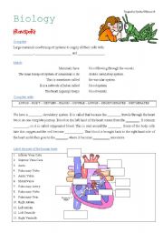 English Worksheet: Science: Transport - The Heart