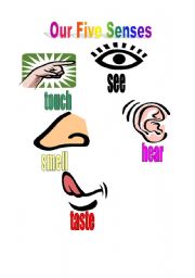 English Worksheet: Five Senses