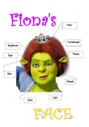 English Worksheet: face poster