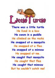 English Worksheet: the little turtle