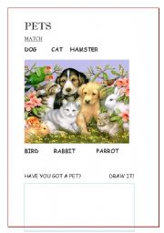 English worksheet: PETS match and draw