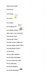 English worksheet: Question have got - Can - Do does