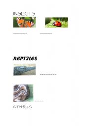 English Worksheet: ANIMALS 2:insects, reptiles and others