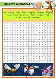 INSECTS WORDSEARCH