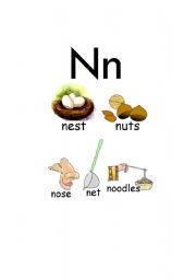 English Worksheet: N WORDS