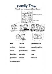 English Worksheet: family vocabulary introduction and practice