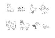 English worksheet: Farm Animals