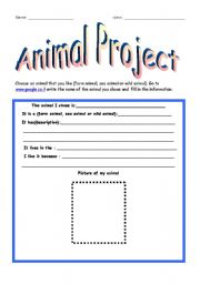 English Worksheet: animal project