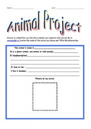 animal project