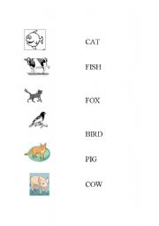 English worksheet: Animal Word Match