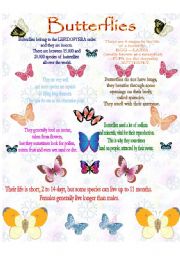 English Worksheet: BUTTERFLIES