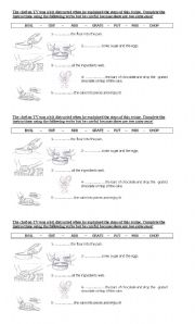 English Worksheet: Recipe