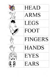 body parts