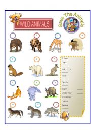 Wild Animal - Match Part-4