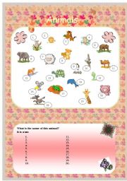 English Worksheet: animals