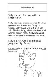 English Worksheet: Sally the Cat
