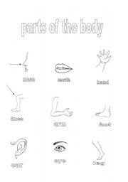 English Worksheet: parts of the body II