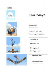 English Worksheet: Video class: For the Birds