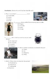 English Worksheet: vocabulary 