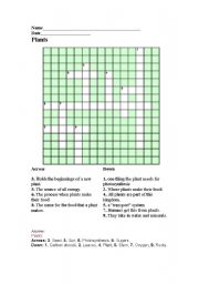 English Worksheet: Plants cross word