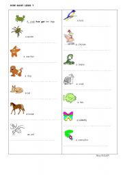 English Worksheet: how many legs ?