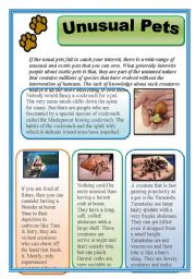 English Worksheet: UNUSUAL PETS