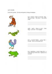 English worksheet: LETS WRITE