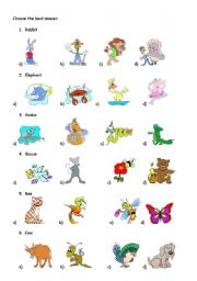 English Worksheet: ANIMAL TEST 1