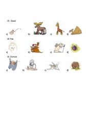 English Worksheet: ANIMAL TEST 3