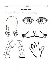 English Worksheet: Listening activity - colour the parts of the body