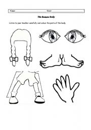 English worksheet: Listening activity - colour the parts of the body