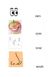 English worksheet: face part