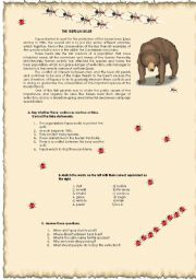 English Worksheet: The Iberian bear