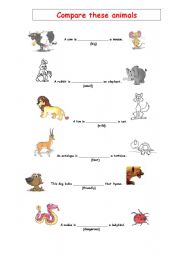 Animal comparisons