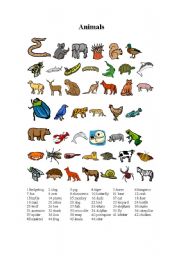 English Worksheet: Animals